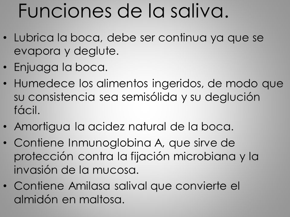 Funciones de la saliva. Lubrica la boca, debe ser continua ya que se evapora y deglute. Enjuaga la boca.