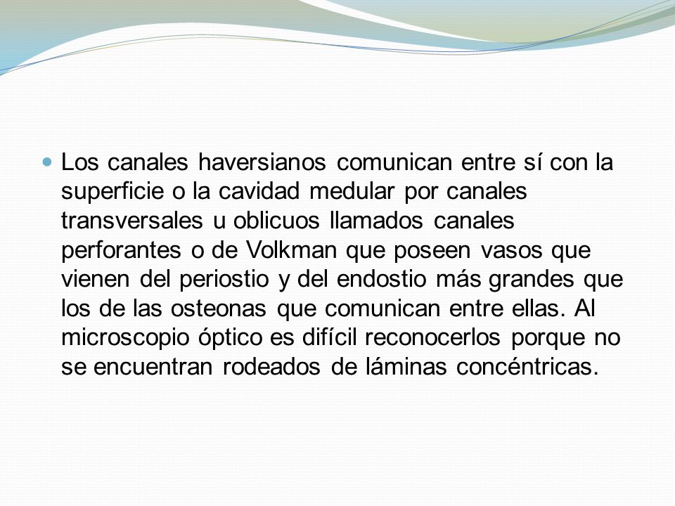 Los canales haversianos comunican entre sí con la superficie o la cavidad medular por canales transversales u oblicuos llamados canales perforantes o de Volkman que poseen vasos que vienen del periostio y del endostio más grandes que los de las osteonas que comunican entre ellas.
