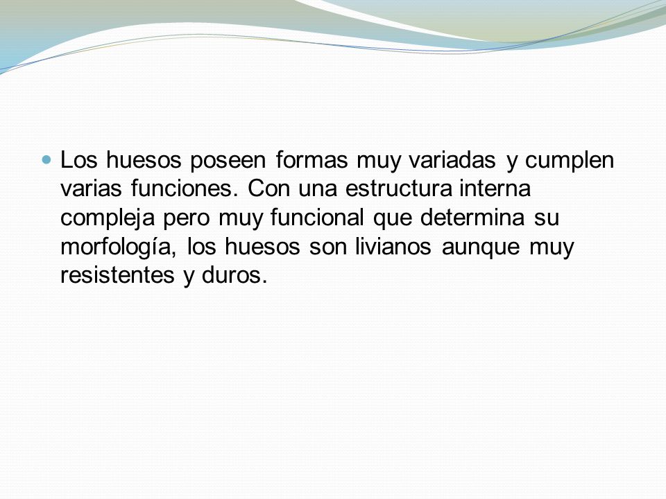 Los huesos poseen formas muy variadas y cumplen varias funciones