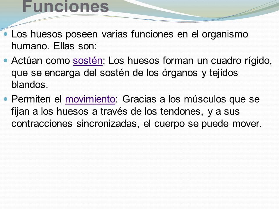 Funciones Los huesos poseen varias funciones en el organismo humano. Ellas son: