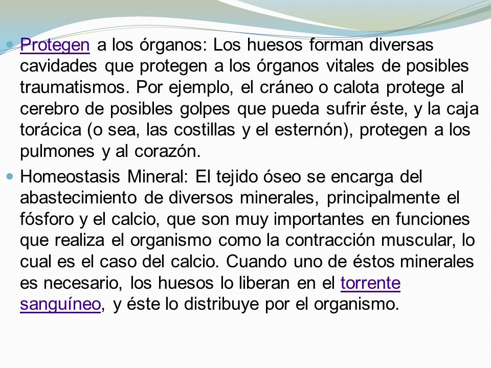 Protegen a los órganos: Los huesos forman diversas cavidades que protegen a los órganos vitales de posibles traumatismos. Por ejemplo, el cráneo o calota protege al cerebro de posibles golpes que pueda sufrir éste, y la caja torácica (o sea, las costillas y el esternón), protegen a los pulmones y al corazón.