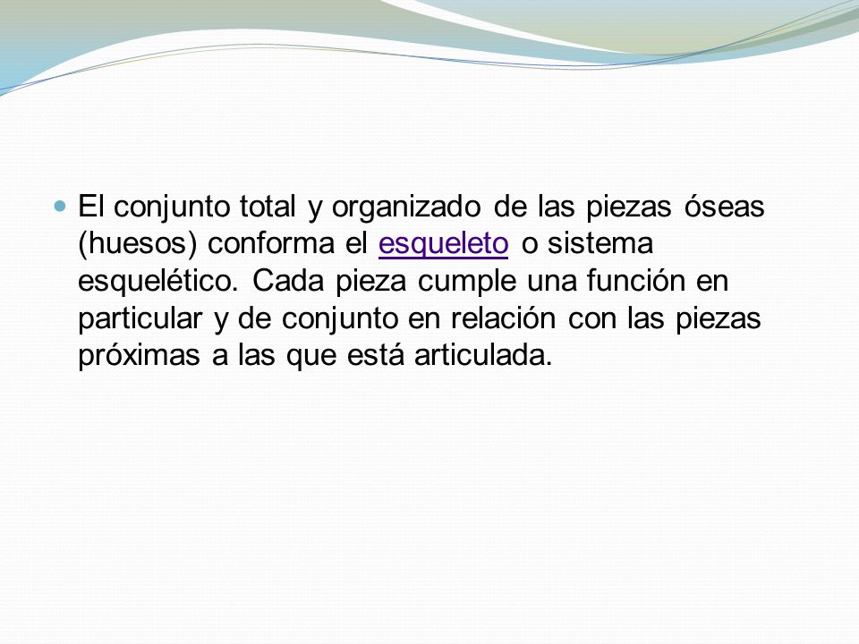 El conjunto total y organizado de las piezas óseas (huesos) conforma el esqueleto o sistema esquelético.