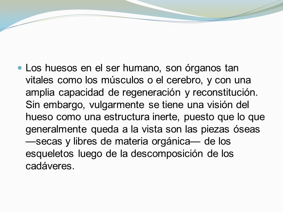 Los huesos en el ser humano, son órganos tan vitales como los músculos o el cerebro, y con una amplia capacidad de regeneración y reconstitución.