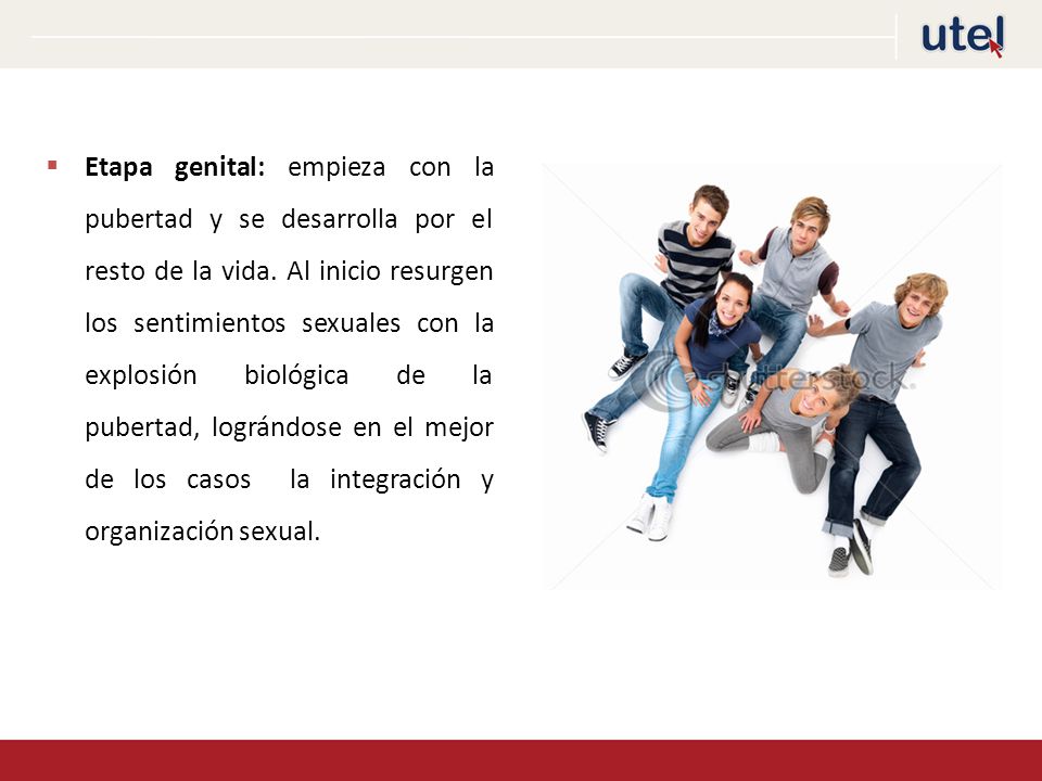 Etapa genital: empieza con la pubertad y se desarrolla por el resto de la vida.