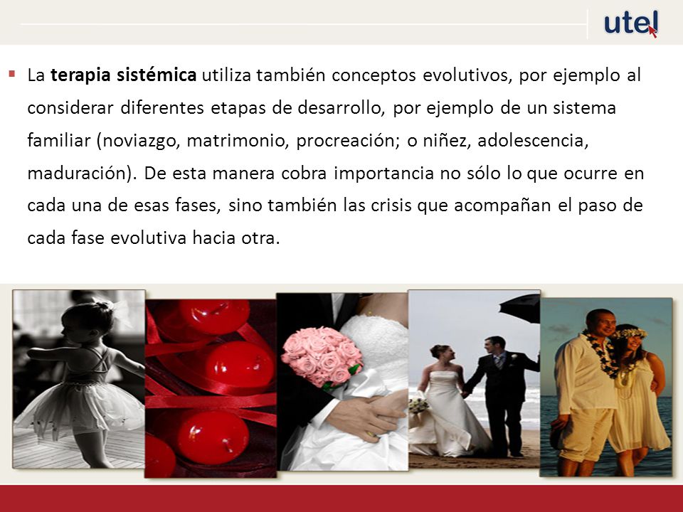 La terapia sistémica utiliza también conceptos evolutivos, por ejemplo al considerar diferentes etapas de desarrollo, por ejemplo de un sistema familiar (noviazgo, matrimonio, procreación; o niñez, adolescencia, maduración).