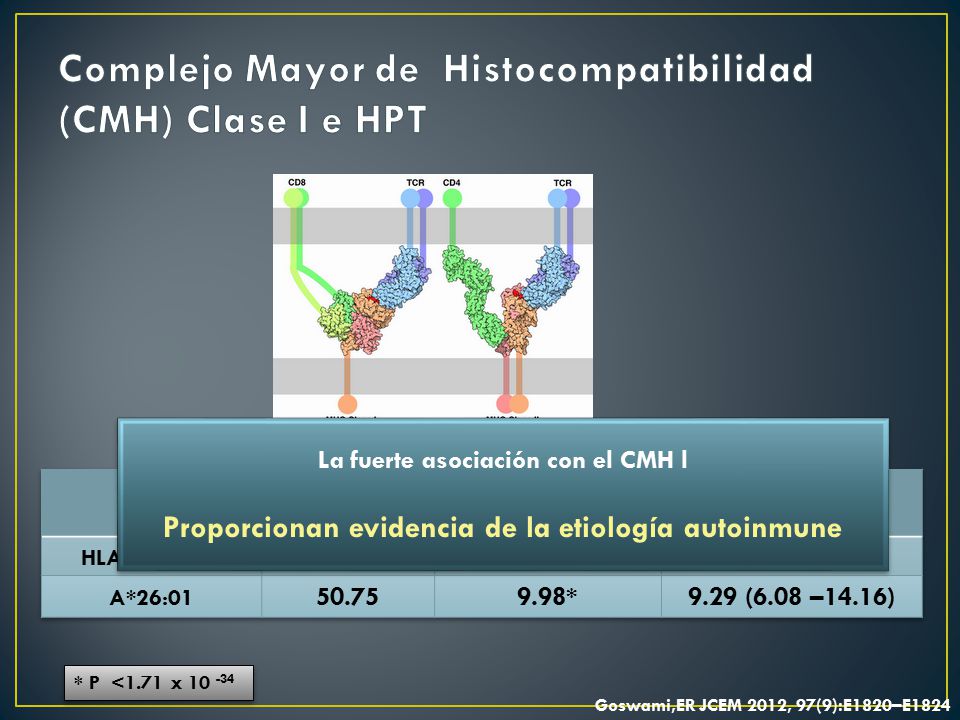 Complejo Mayor de Histocompatibilidad (CMH) Clase I e HPT