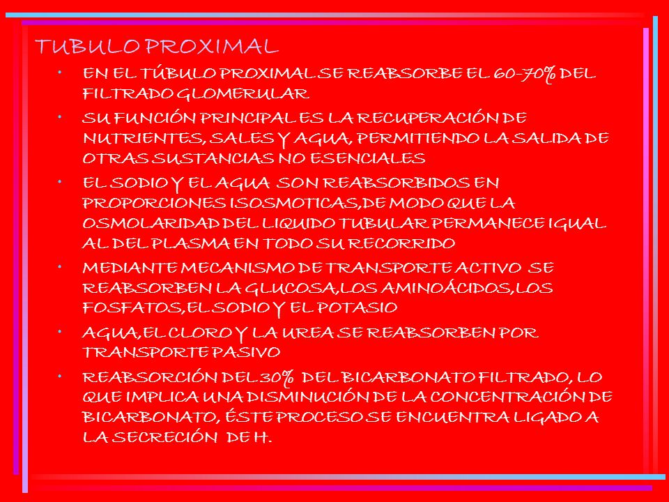 TUBULO PROXIMAL EN EL TÚBULO PROXIMAL SE REABSORBE EL 60-70% DEL FILTRADO GLOMERULAR.