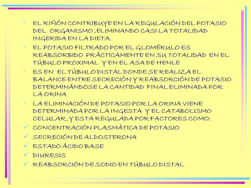 EL RIÑÓN CONTRIBUYE EN LA REGULACIÓN DEL POTASIO DEL ORGANISMO ,ELIMINANDO CASI LA TOTALIDAD INGERIDA EN LA DIETA.