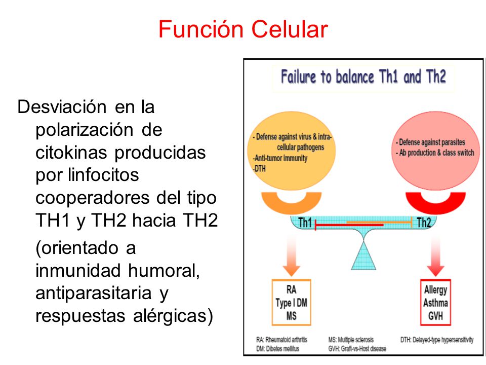 Función Celular Desviación en la polarización de citokinas producidas por linfocitos cooperadores del tipo TH1 y TH2 hacia TH2.