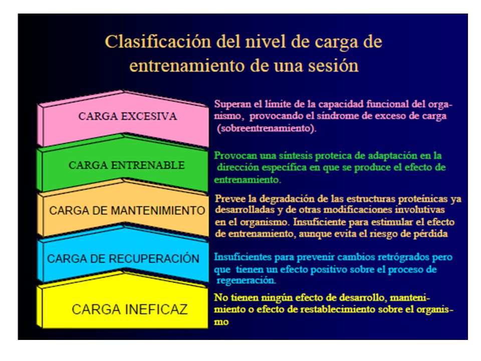 Algunos autores consideran otro factor dentro de la magnitud de la carga