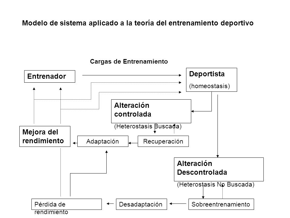 Modelo de sistema aplicado a la teoría del entrenamiento deportivo