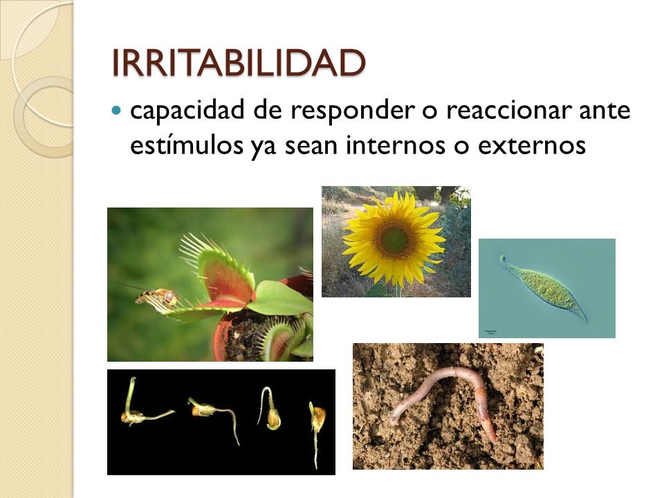 IRRITABILIDAD capacidad de responder o reaccionar ante estímulos ya sean internos o externos