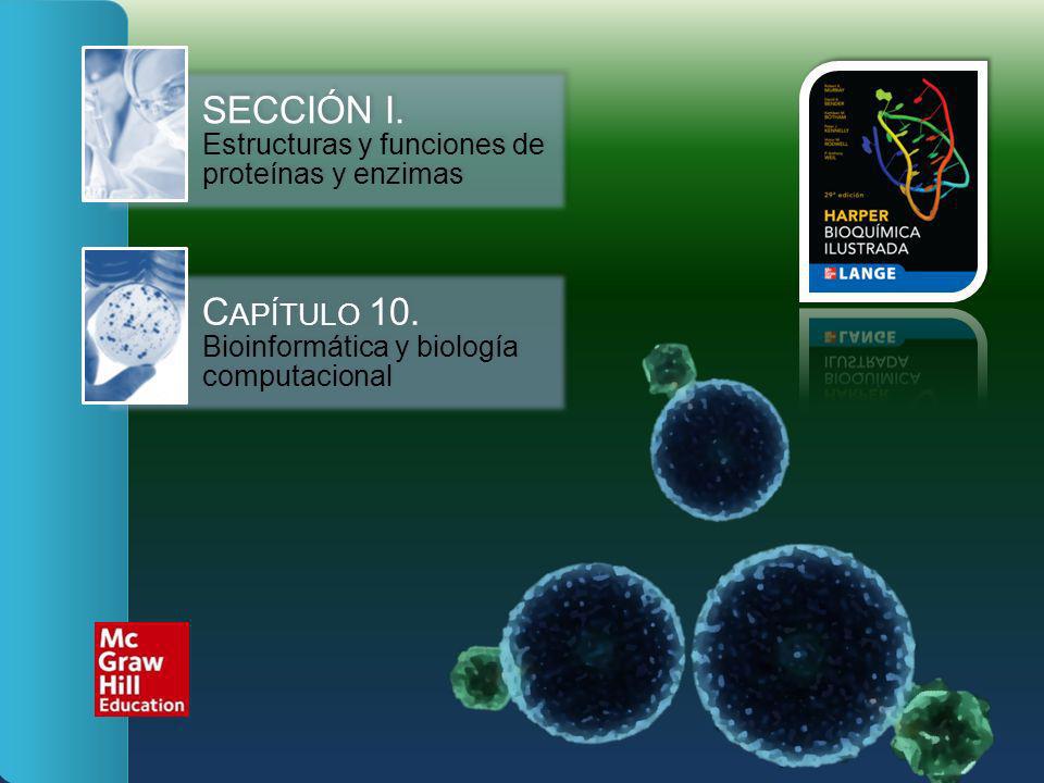 SECCIÓN I. Estructuras y funciones de proteínas y enzimas