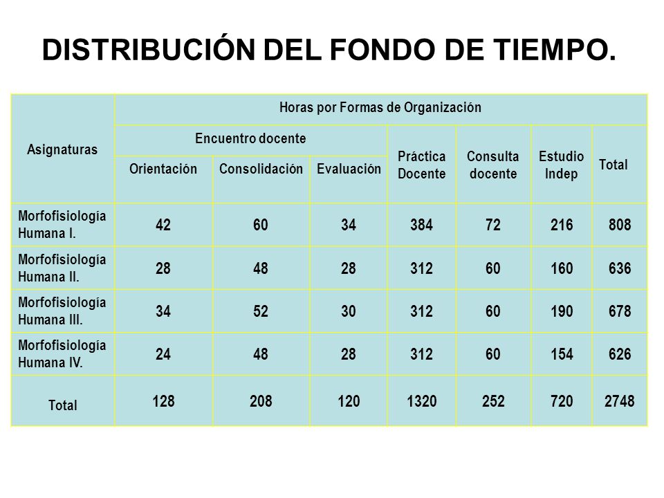 DISTRIBUCIÓN DEL FONDO DE TIEMPO. Horas por Formas de Organización