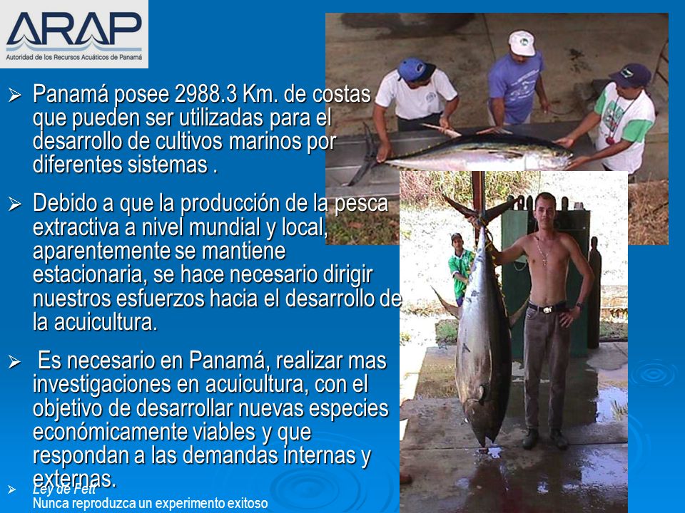 Panamá posee Km. de costas que pueden ser utilizadas para el desarrollo de cultivos marinos por diferentes sistemas .