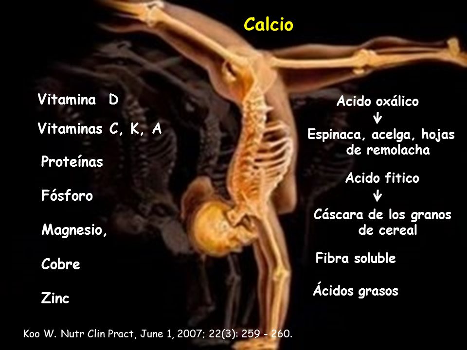 Calcio Vitamina D Vitaminas C, K, A Proteínas Fósforo Magnesio, Cobre