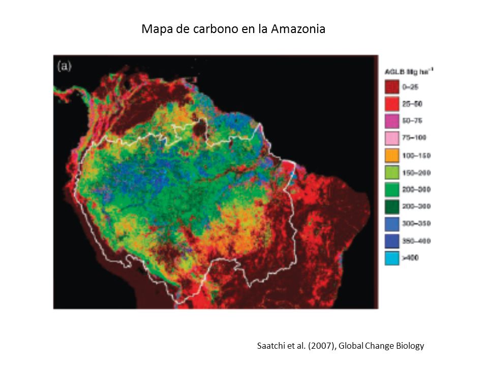 Mapa de carbono en la Amazonia