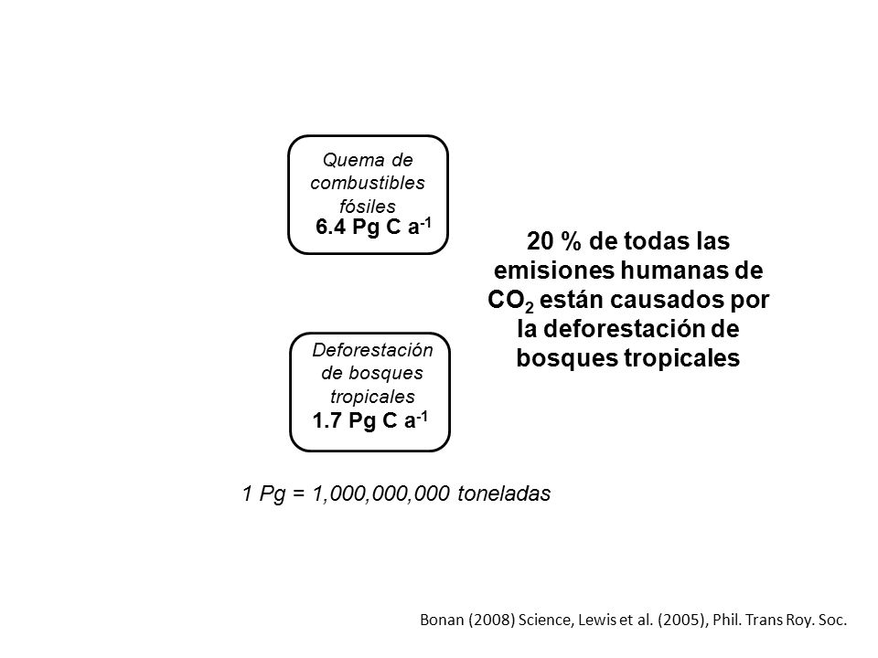 6.4 Pg C a-1 Quema de combustibles fósiles. 20 % de todas las emisiones humanas de CO2 están causados por la deforestación de bosques tropicales.