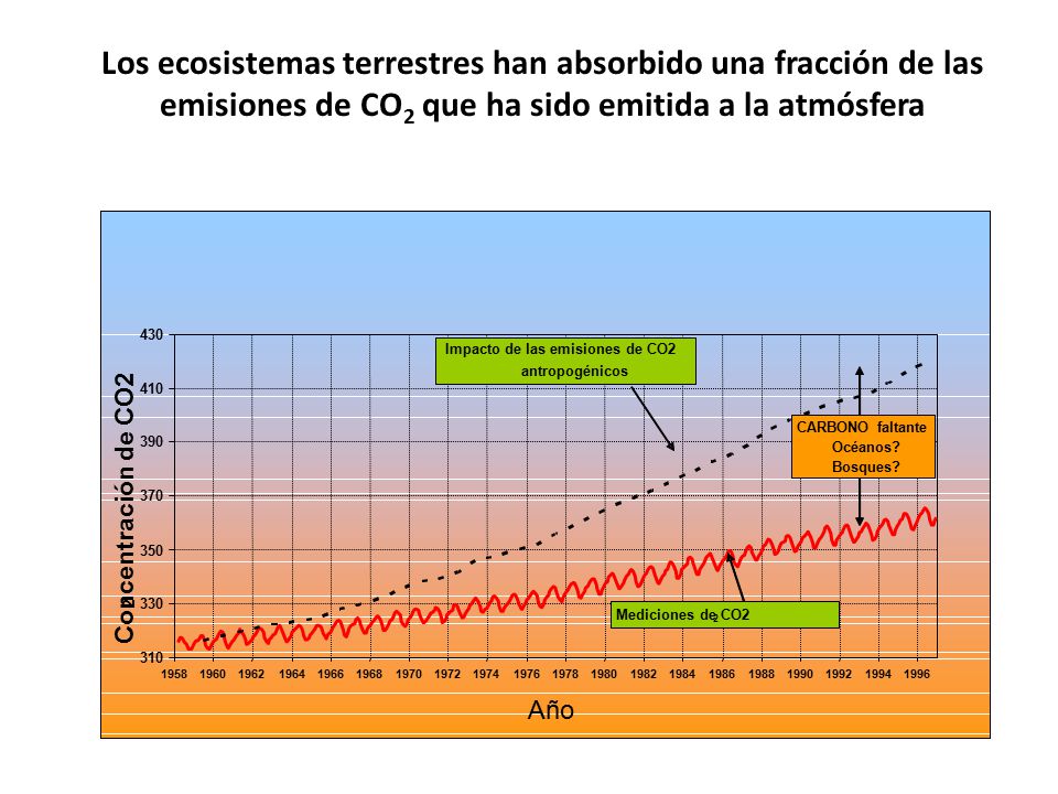 Los ecosistemas terrestres han absorbido una fracción de las emisiones de CO2 que ha sido emitida a la atmósfera