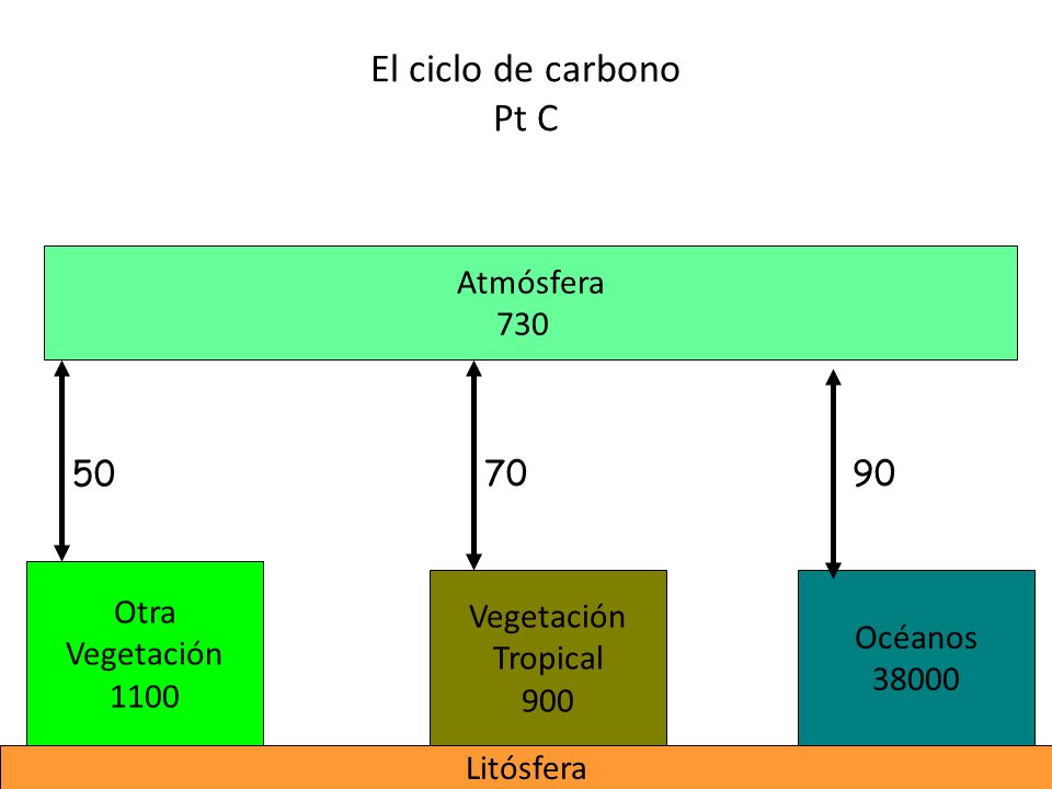 El ciclo de carbono Pt C Atmósfera Otra Vegetación 1100