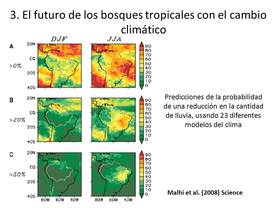 3. El futuro de los bosques tropicales con el cambio climático