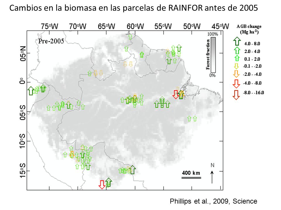 Cambios en la biomasa en las parcelas de RAINFOR antes de 2005