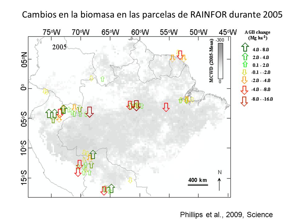 Cambios en la biomasa en las parcelas de RAINFOR durante 2005