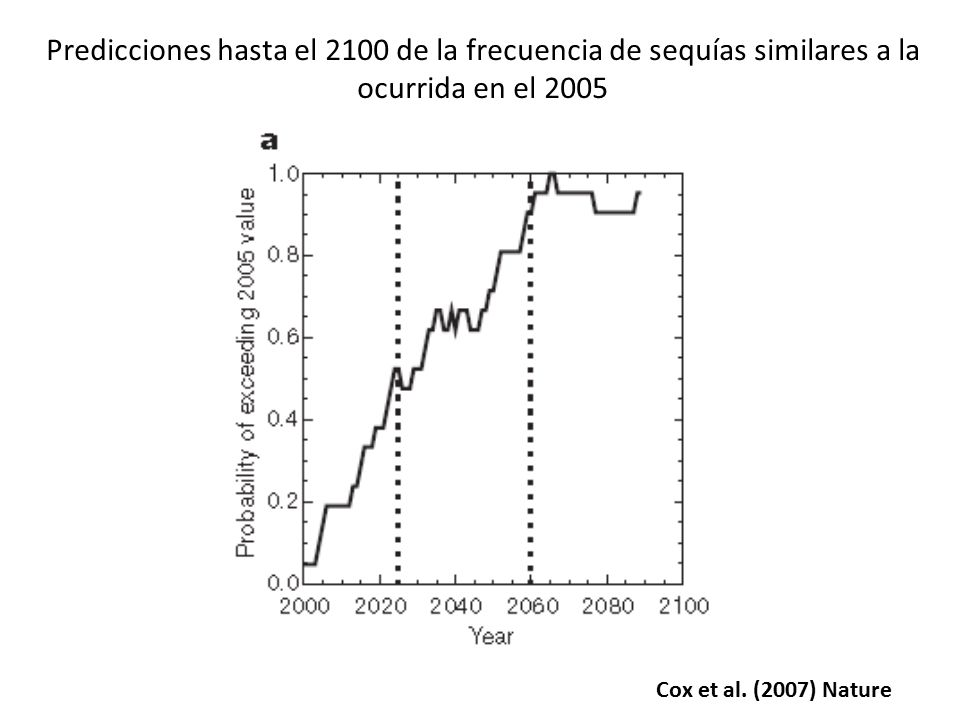 Predicciones hasta el 2100 de la frecuencia de sequías similares a la ocurrida en el 2005