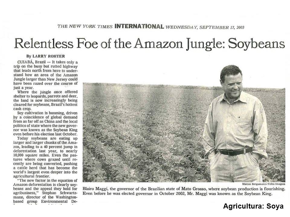 We hear a lot about soya bean plantations as well.