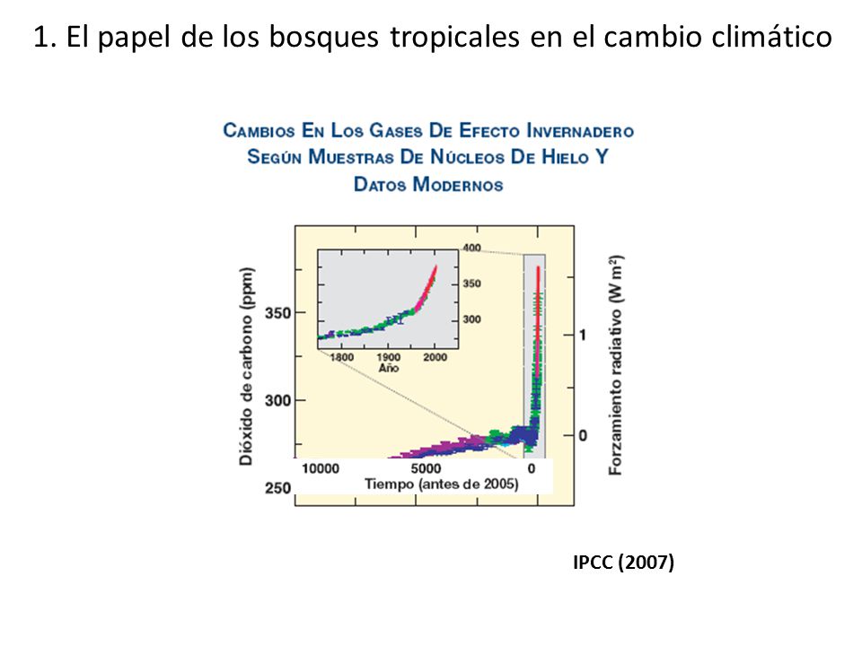 1. El papel de los bosques tropicales en el cambio climático