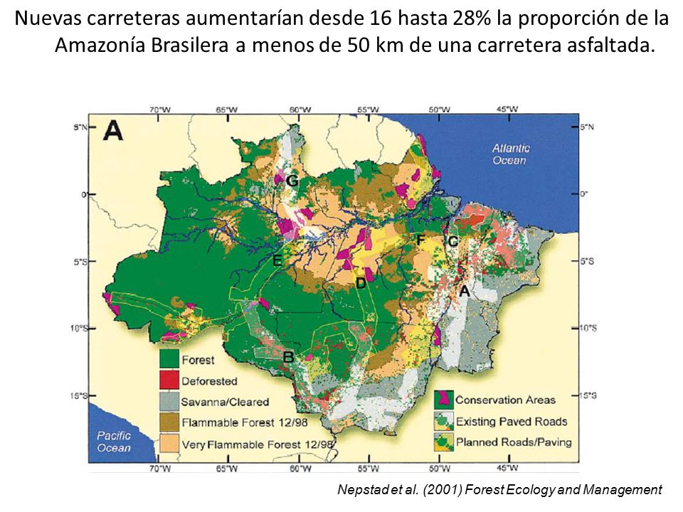 Nuevas carreteras aumentarían desde 16 hasta 28% la proporción de la Amazonía Brasilera a menos de 50 km de una carretera asfaltada.