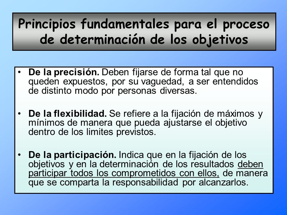Principios fundamentales para el proceso de determinación de los objetivos