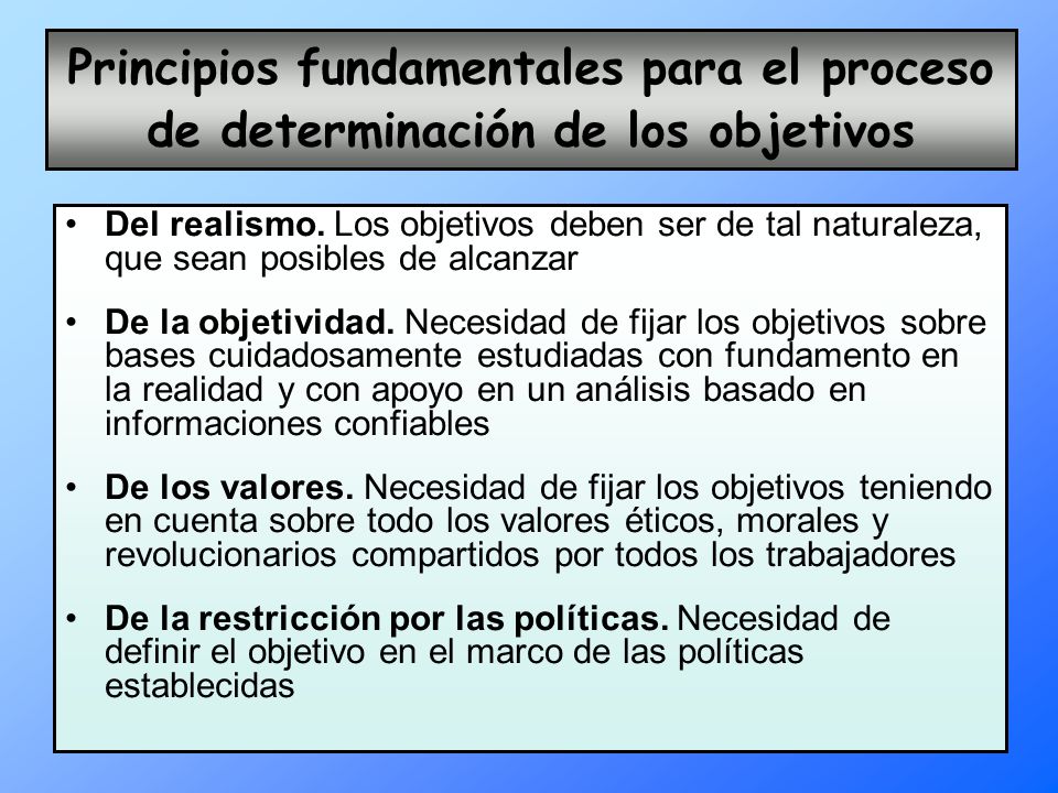 Principios fundamentales para el proceso de determinación de los objetivos