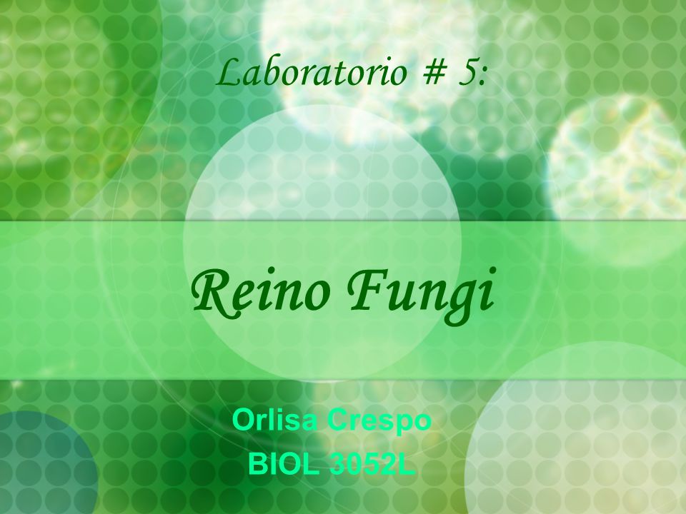 Laboratorio # 5: Reino Fungi Orlisa Crespo BIOL 3052L