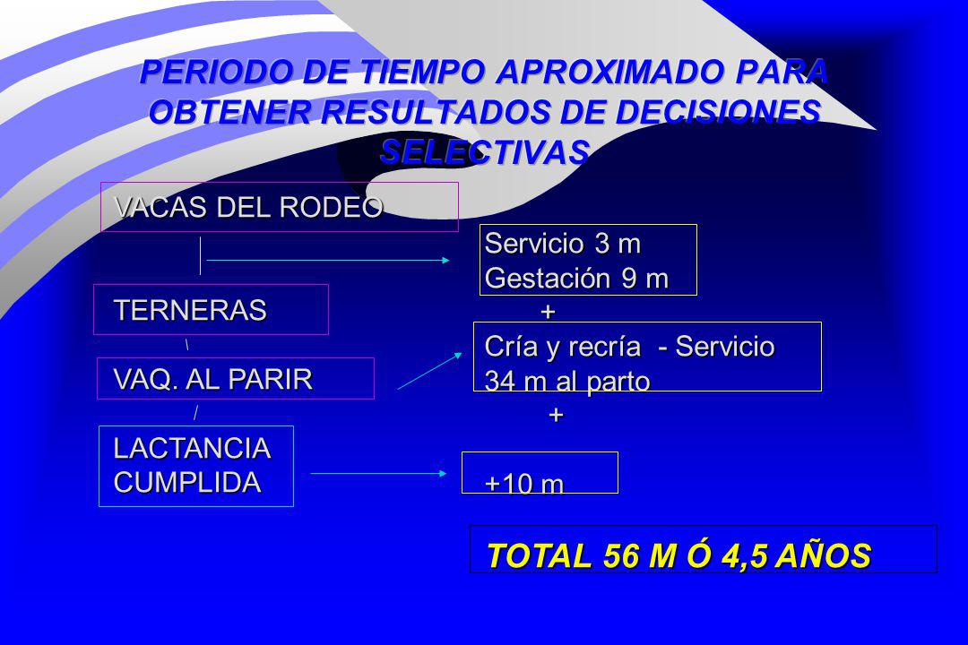 PERIODO DE TIEMPO APROXIMADO PARA OBTENER RESULTADOS DE DECISIONES SELECTIVAS