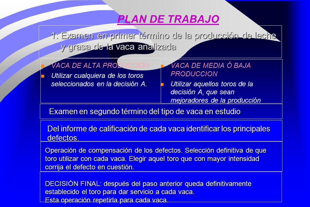 PLAN DE TRABAJO 1: Examen en primer término de la producción de leche