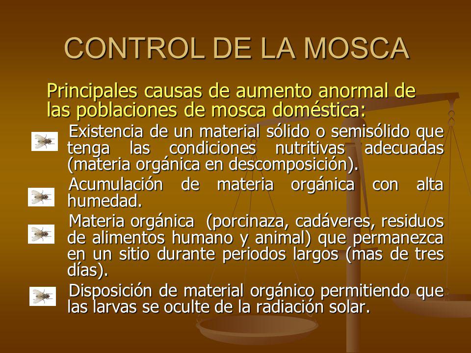 CONTROL DE LA MOSCA Principales causas de aumento anormal de las poblaciones de mosca doméstica: