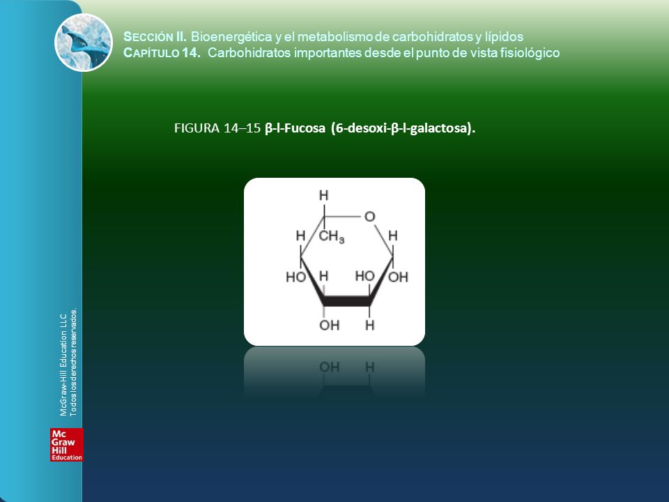 FIGURA 14–15 β-l-Fucosa (6-desoxi-β-l-galactosa).