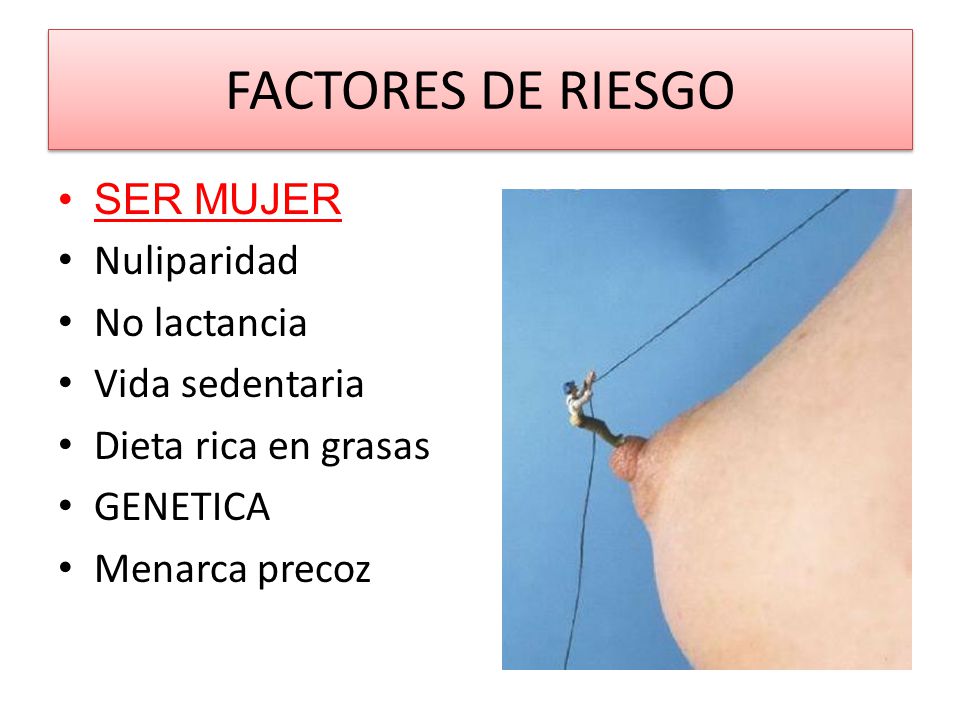 FACTORES DE RIESGO SER MUJER Nuliparidad No lactancia Vida sedentaria