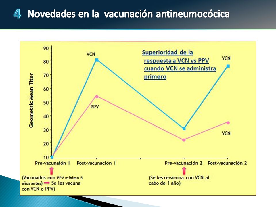En el estudio pivotal 3005 que incluyó adultos de al menos 70 años de edad que habían sido vacunados con una dosis de 23 valente al menos 5 años antes del estudio, se asignó a los sujetos a recibir una dosis única de 13 o 23 valente.