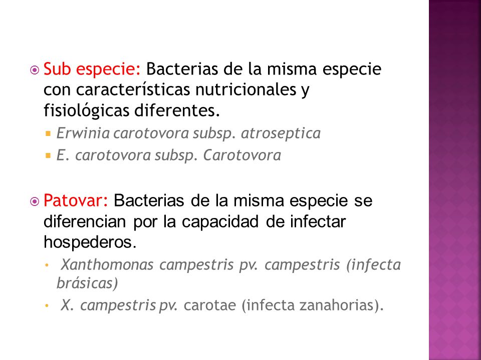 Sub especie: Bacterias de la misma especie con características nutricionales y fisiológicas diferentes.
