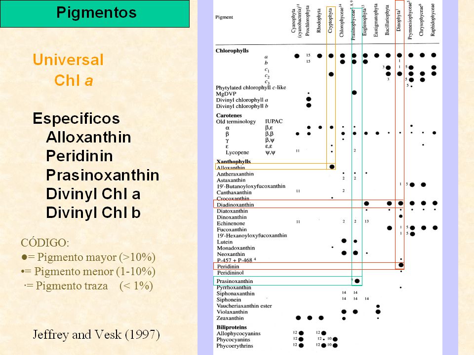 CÓDIGO: ●= Pigmento mayor (>10%) •= Pigmento menor (1-10%) ∙= Pigmento traza (< 1%)