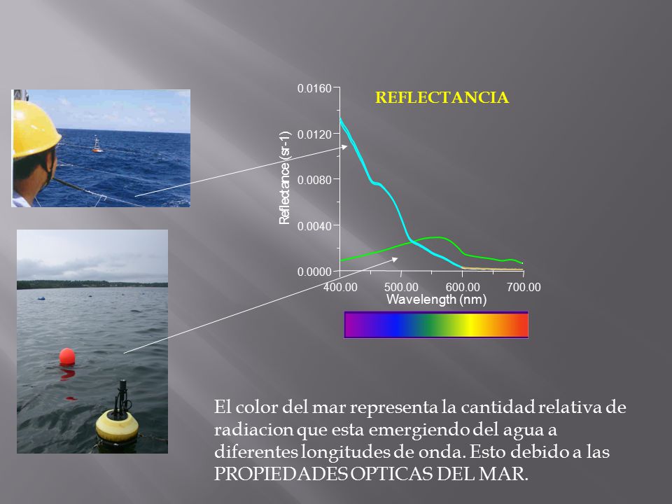 REFLECTANCIA. ) r. - s. ( e. c. n a. t. c. e. l. e. f.