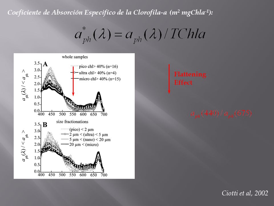 Coeficiente de Absorción Especifico de la Clorofila-a (m2 mgChla-1):