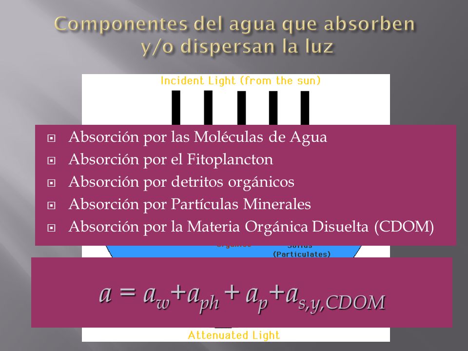 Componentes del agua que absorben y/o dispersan la luz