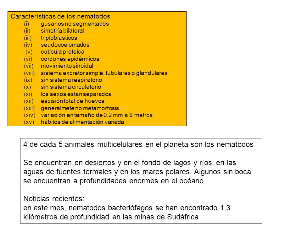 4 de cada 5 animales multicelulares en el planeta son los nematodos