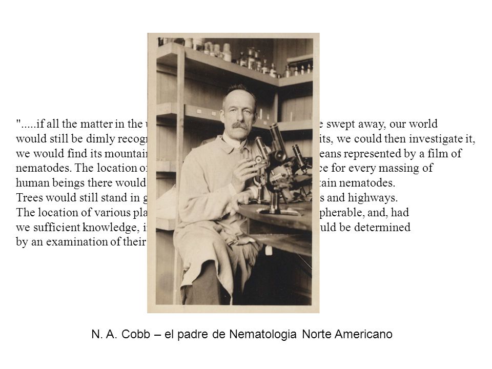 .....if all the matter in the universe except the nematodes were swept away, our world