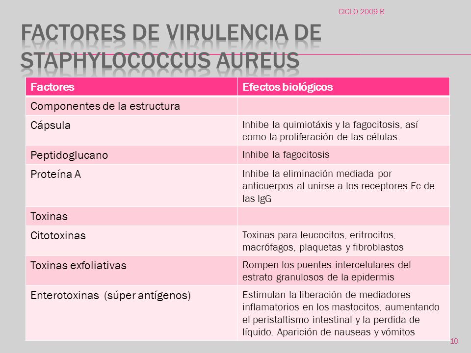 Factores de virulencia de Staphylococcus aureus