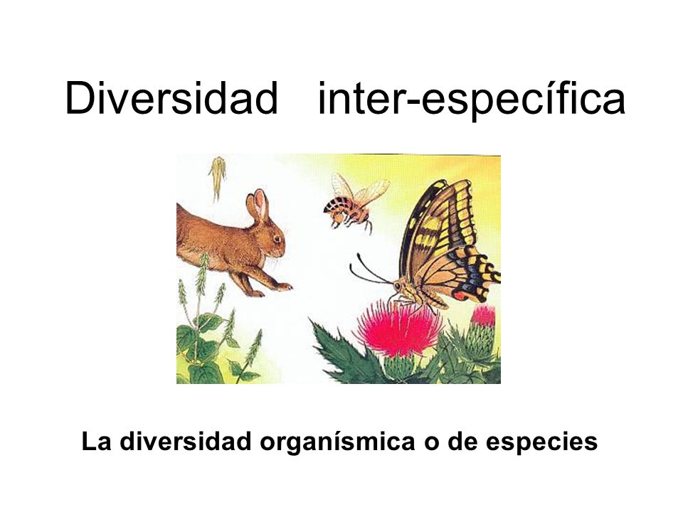 Diversidad inter-específica