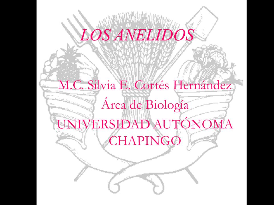 LOS ANELIDOS M.C. Silvia E. Cortés Hernández Área de Biología